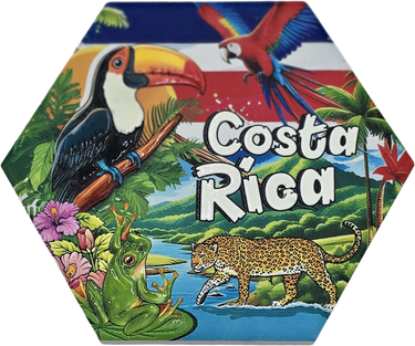 Posavasos hexagonal de cerámica