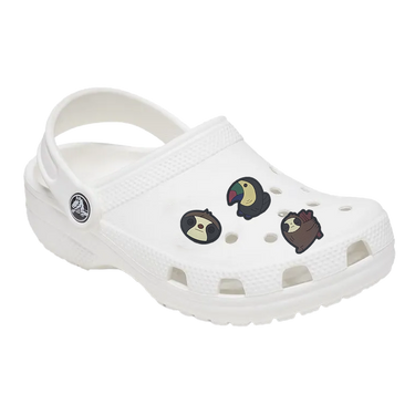 PIN para Zapato y Bolso (6 Pack)
