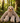 Peluche Perezoso 33cm